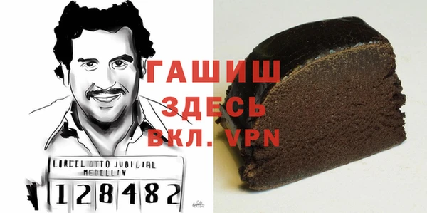 гидра Горно-Алтайск