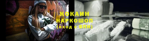индика Вязьма