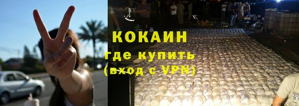 индика Вязьма