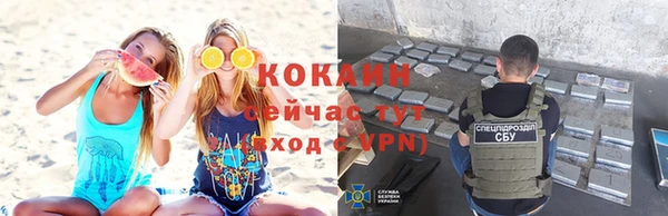 гидра Горно-Алтайск