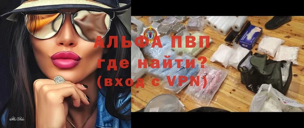 ГАЛЛЮЦИНОГЕННЫЕ ГРИБЫ Вязники