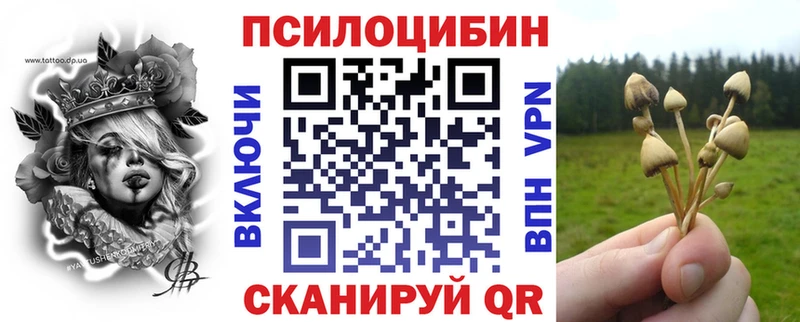 Галлюциногенные грибы Psilocybe  сколько стоит  Дегтярск 